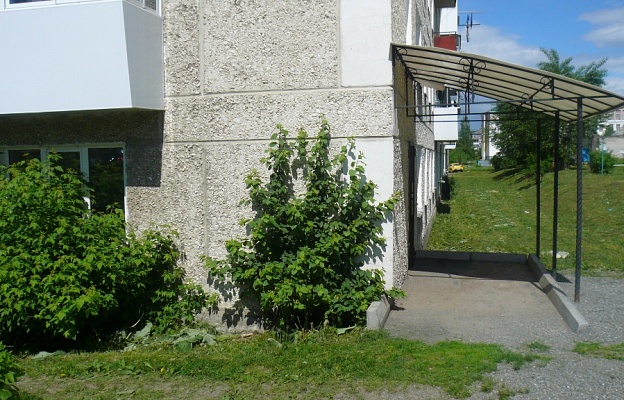 P1040825.JPG